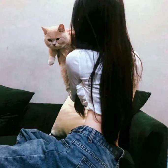 杀破狼